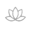Lotus Icon